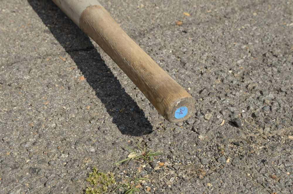Group of Rowing Oars with Blue Blades