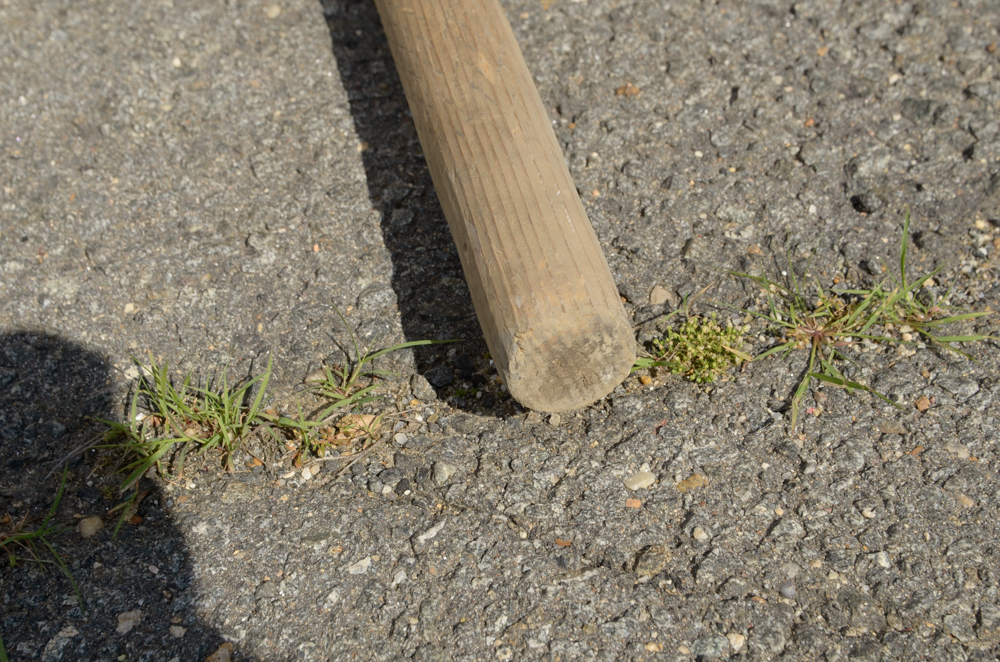 Group of Rowing Oars with Blue Blades