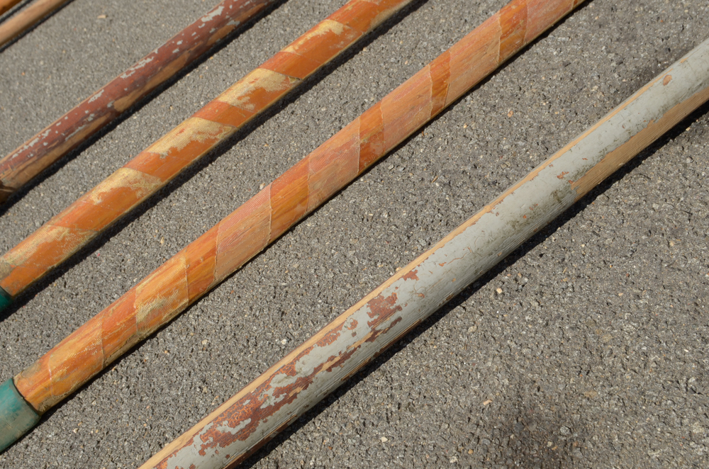 Group of Rowing Oars with Blue Blades