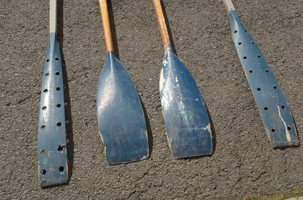 Group of Rowing Oars with Blue Blades