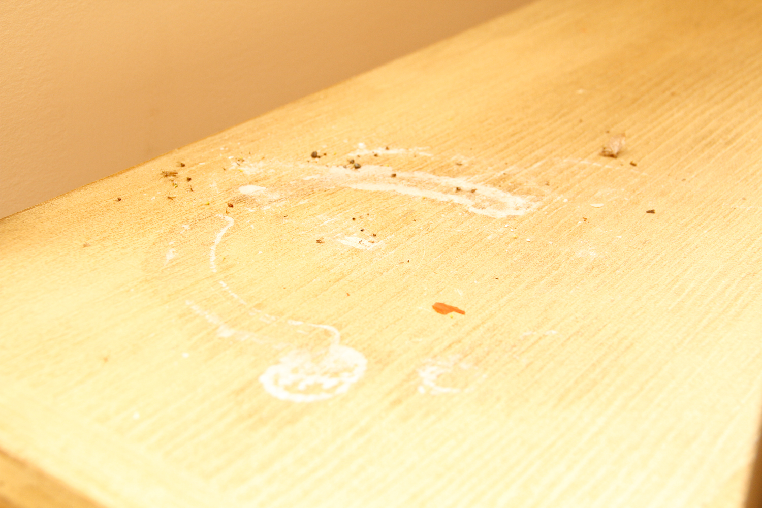 Modern Style Open Shelving Bookcase