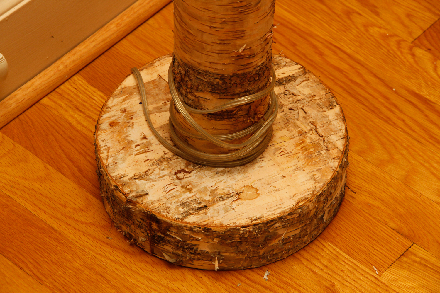 Natural Tree Trunk Floor Lamp