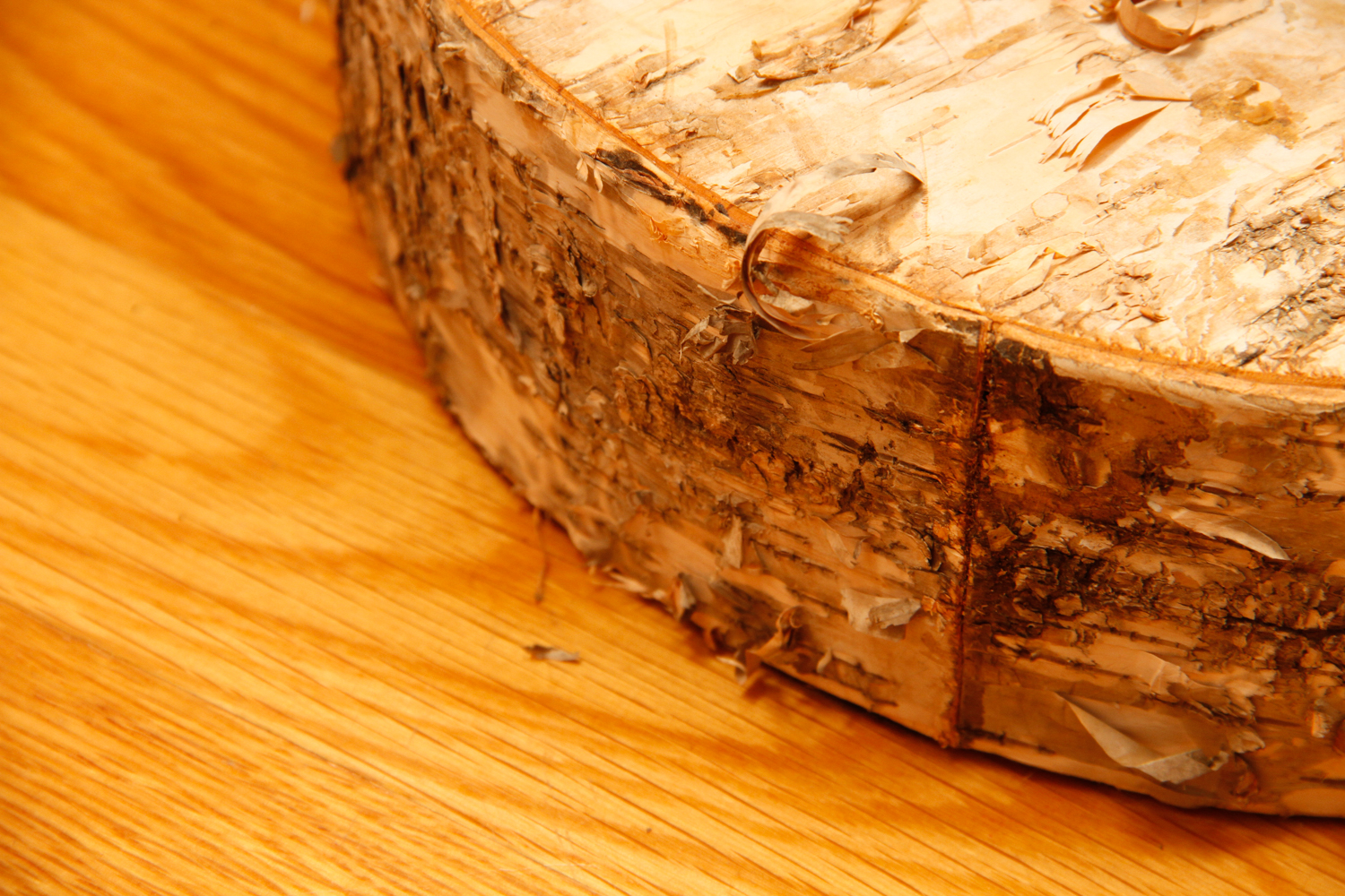 Natural Tree Trunk Floor Lamp