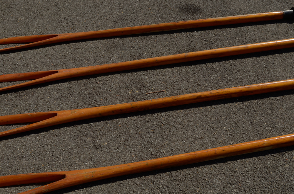 Collection of Vintage Joseph A. Garofalo Rowing Oars