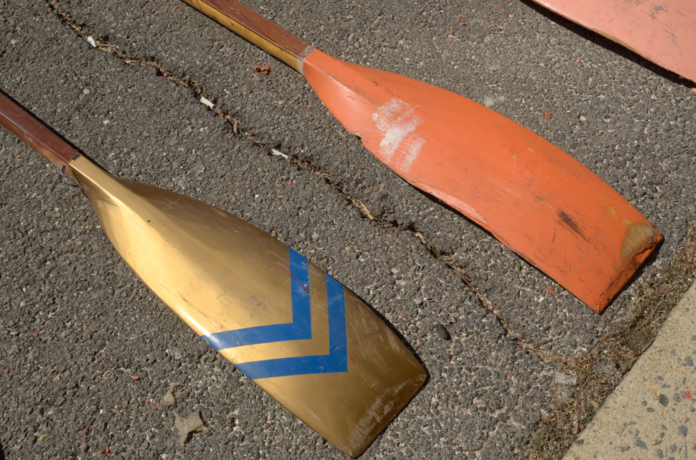 Collection of Vintage Oars
