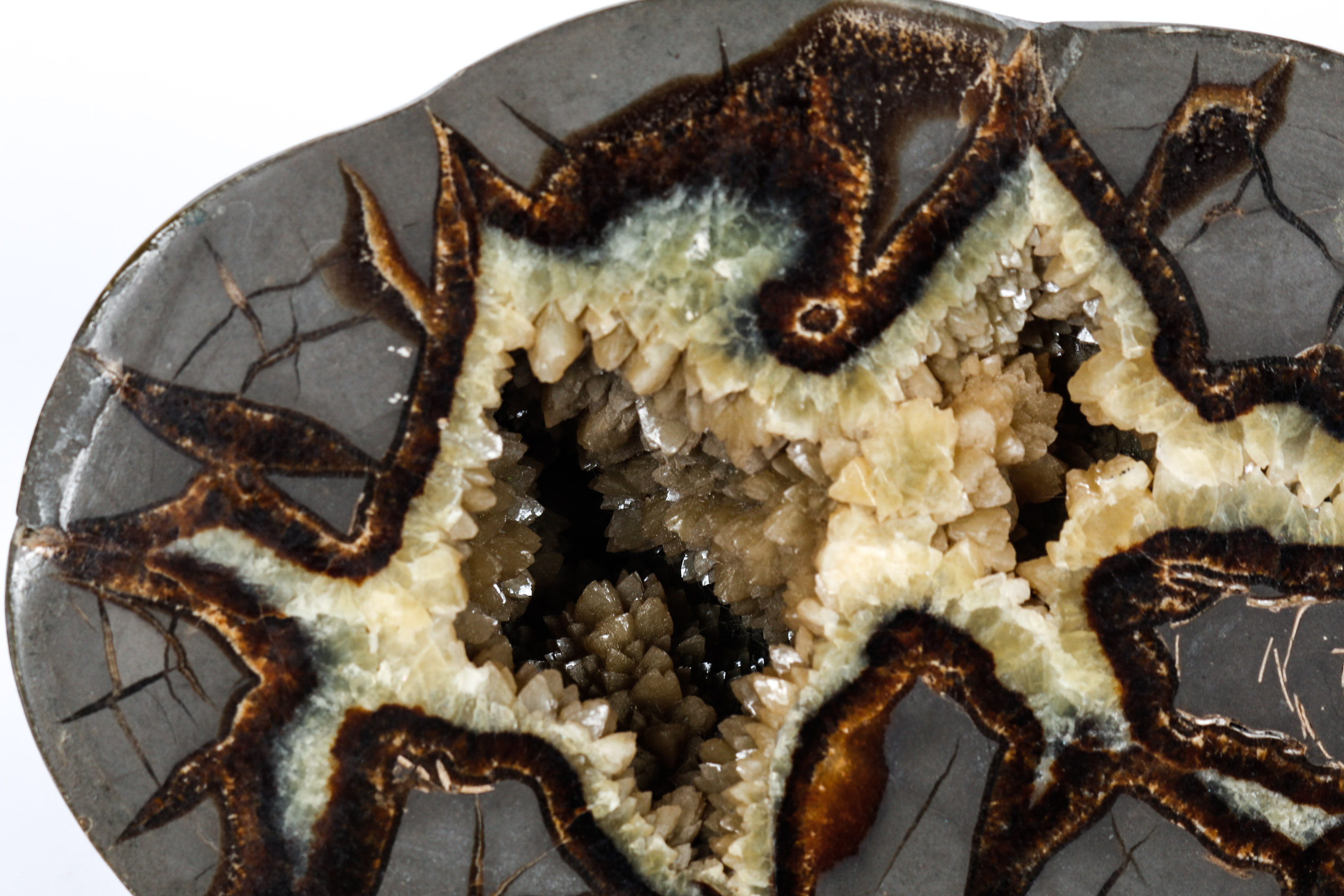 Polished Septarian Nodule