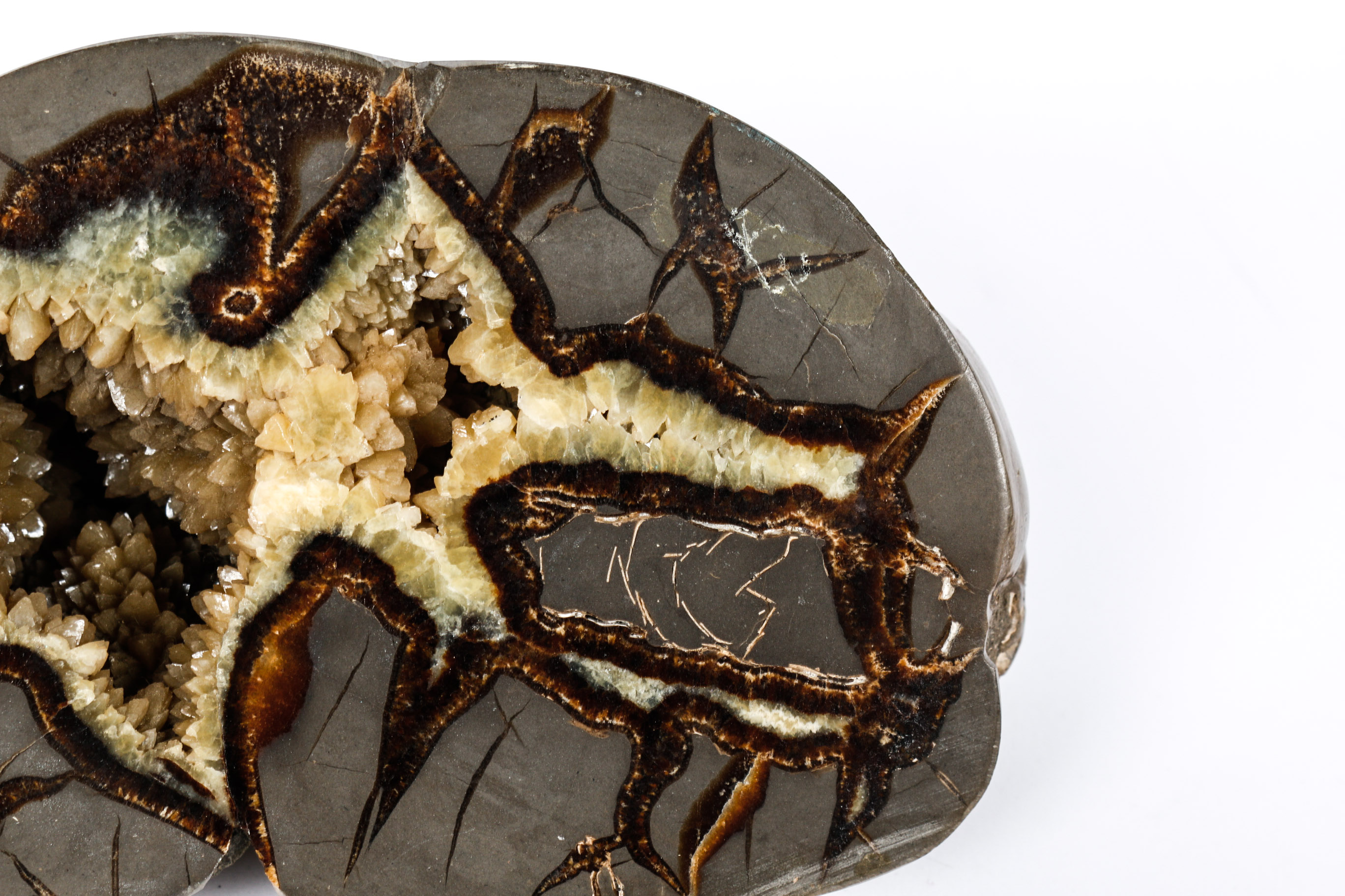 Polished Septarian Nodule