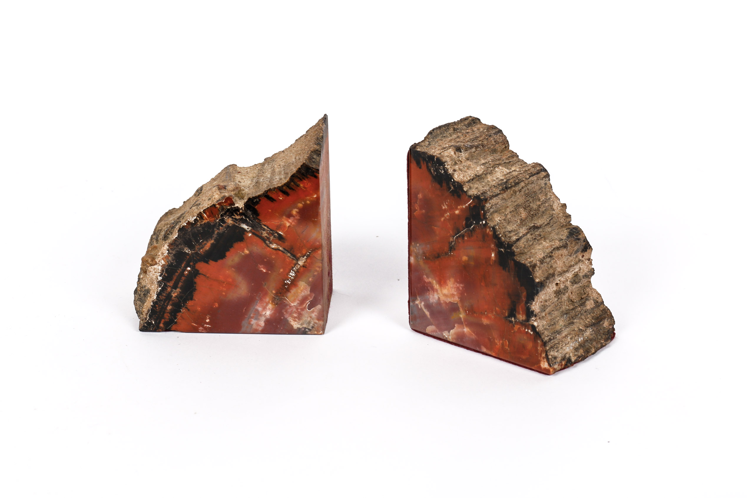Arizona Rainbow Petrified Wood Bookends