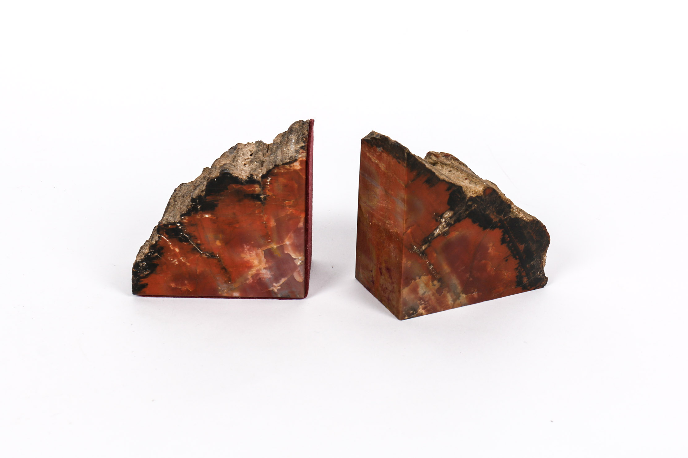 Arizona Rainbow Petrified Wood Bookends