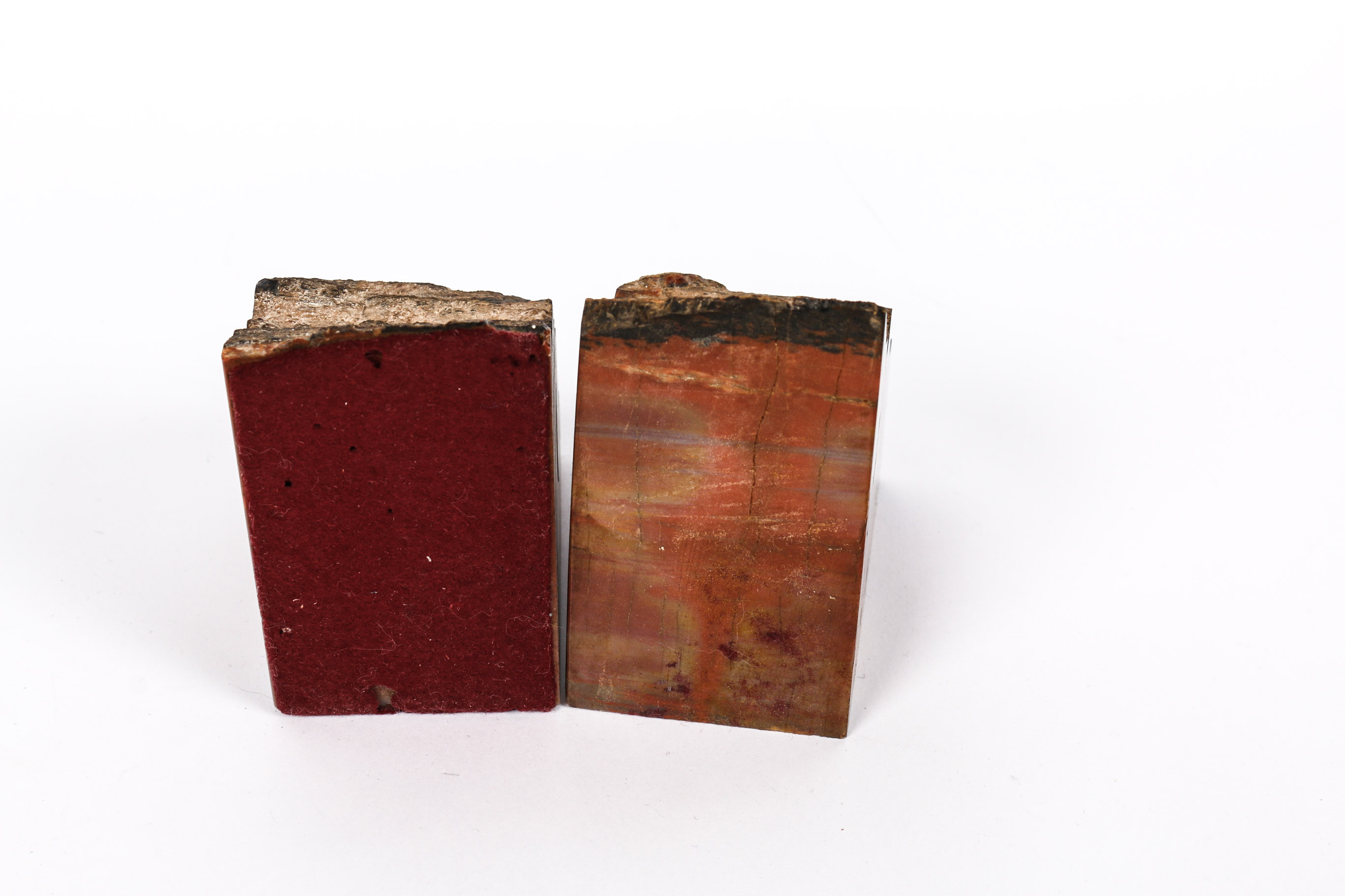 Arizona Rainbow Petrified Wood Bookends