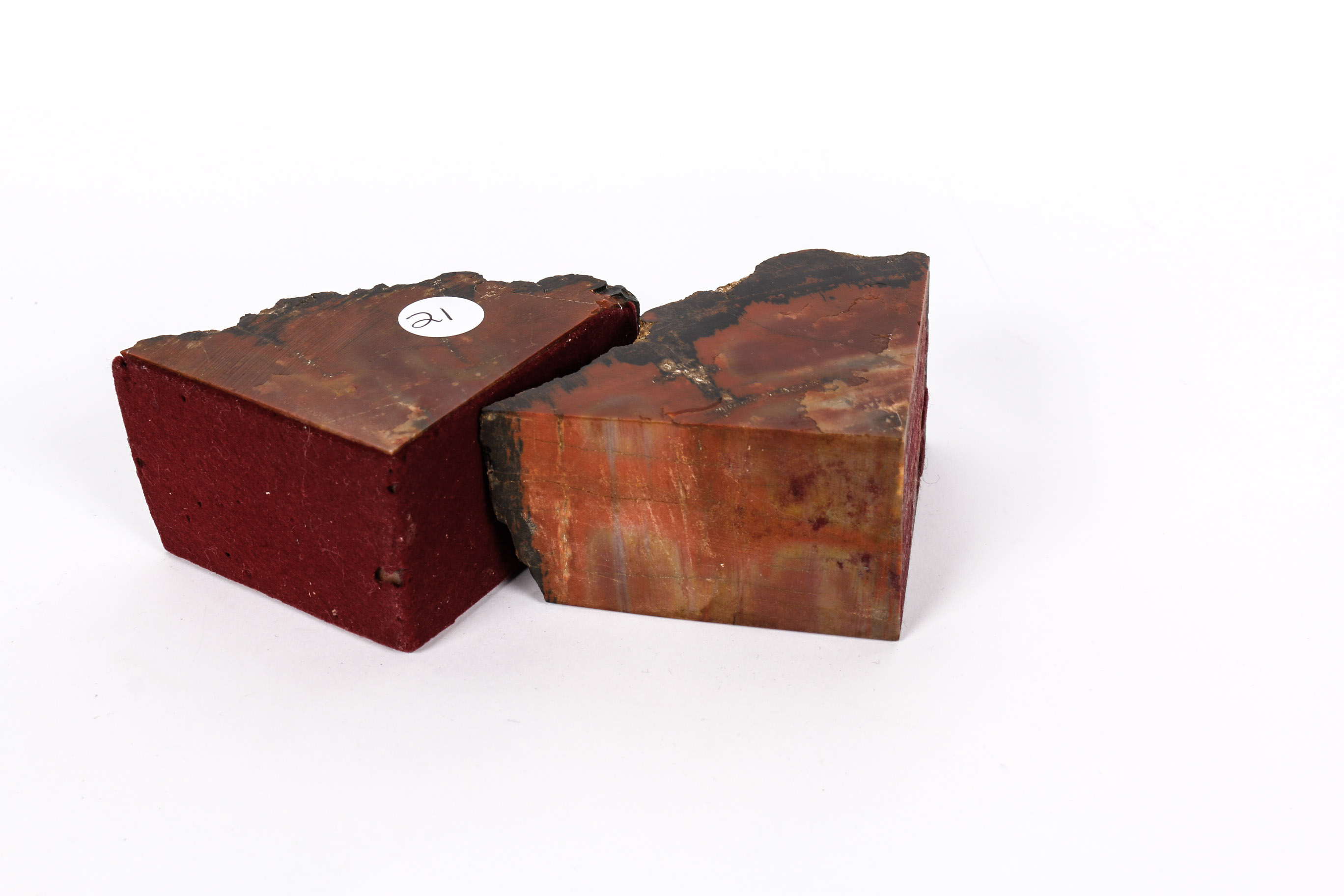 Arizona Rainbow Petrified Wood Bookends