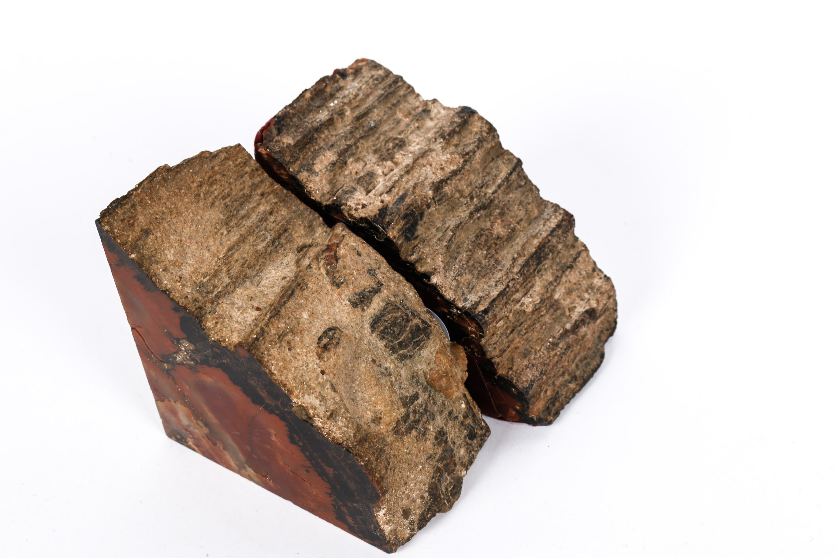 Arizona Rainbow Petrified Wood Bookends