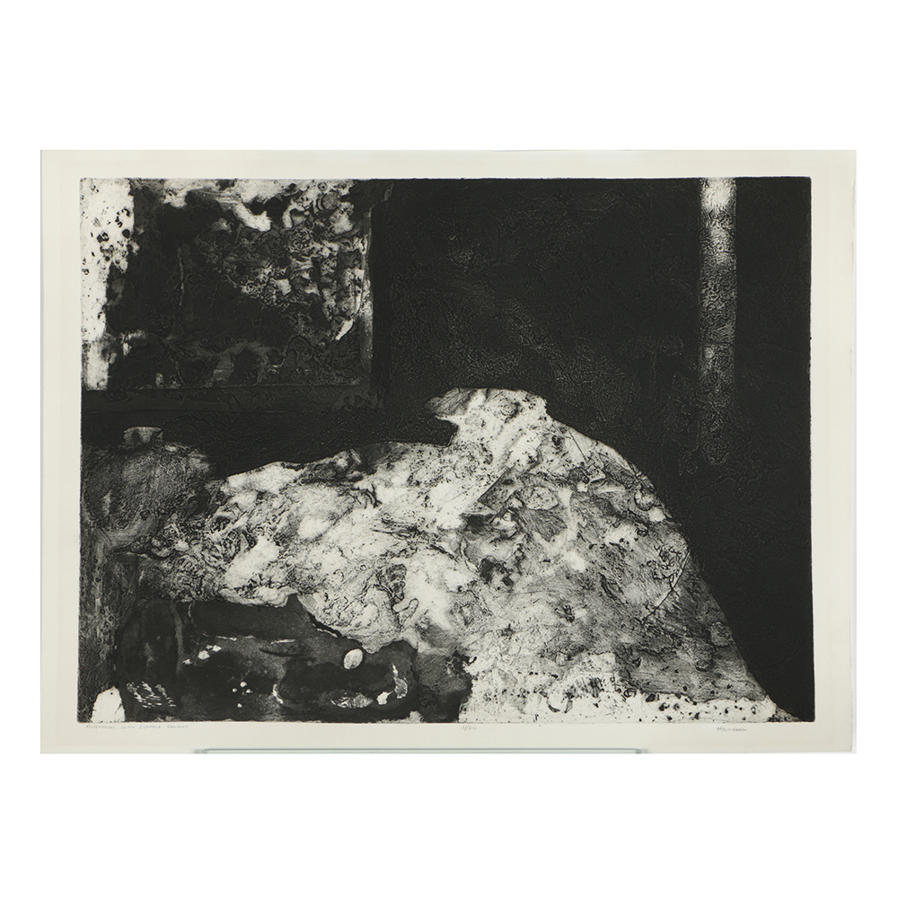 Holmberg Limited Edition Etching on Paper "Albatross with Surface Delight"