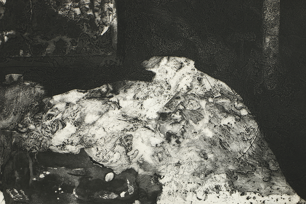 Holmberg Limited Edition Etching on Paper "Albatross with Surface Delight"