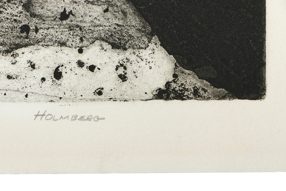 Holmberg Limited Edition Etching on Paper "Albatross with Surface Delight"