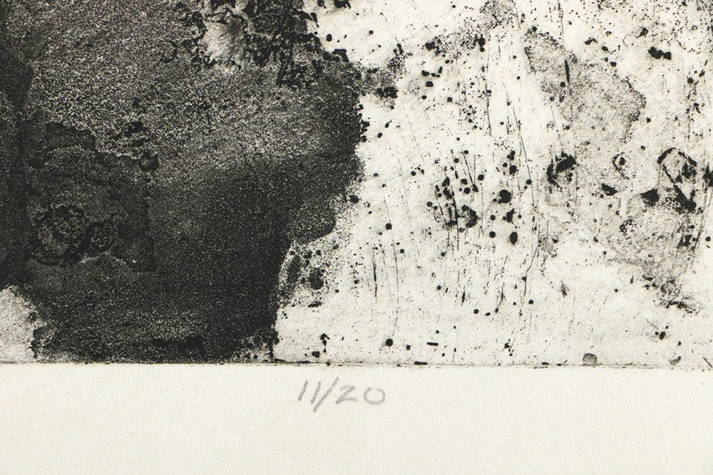 Holmberg Limited Edition Etching on Paper "Albatross with Surface Delight"