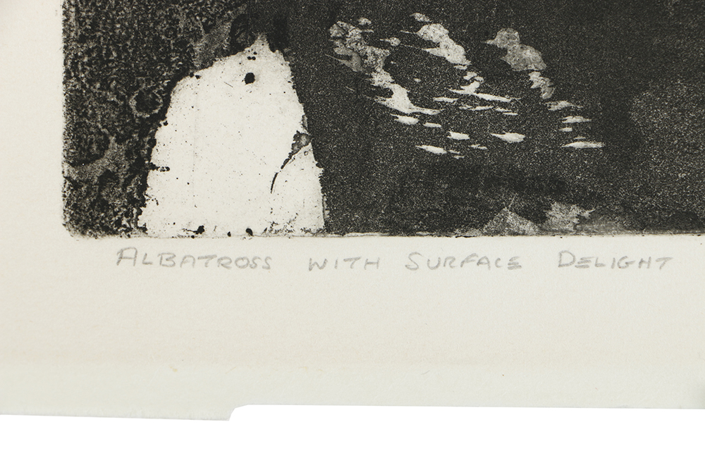 Holmberg Limited Edition Etching on Paper "Albatross with Surface Delight"