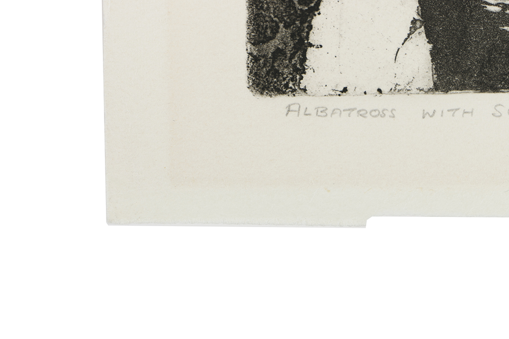Holmberg Limited Edition Etching on Paper "Albatross with Surface Delight"
