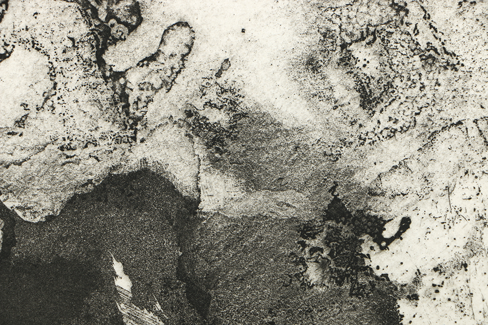 Holmberg Limited Edition Etching on Paper "Albatross with Surface Delight"