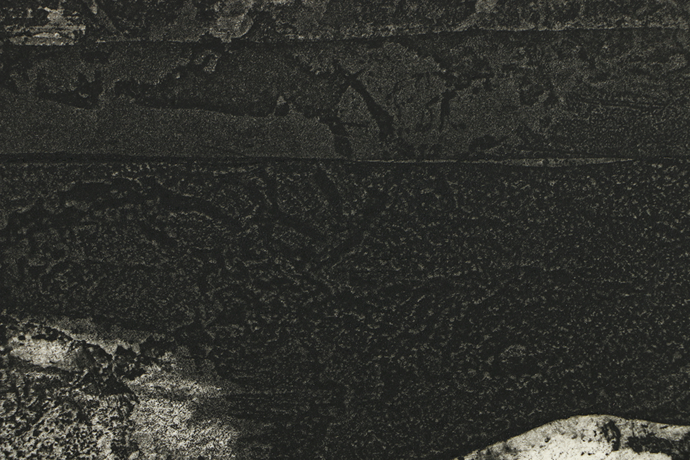 Holmberg Limited Edition Etching on Paper "Albatross with Surface Delight"