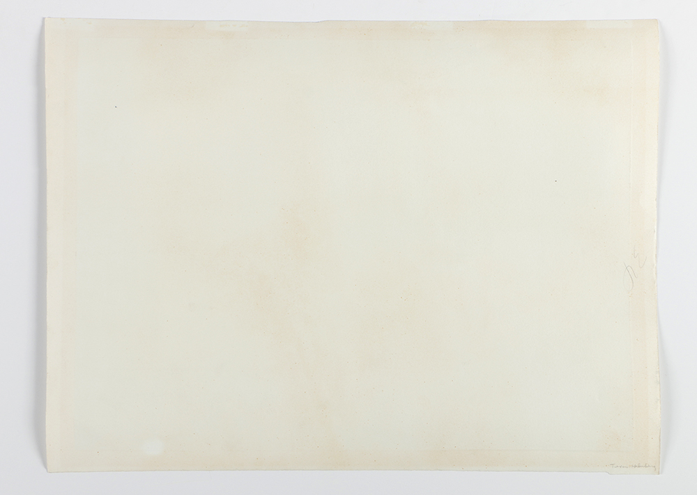 Holmberg Limited Edition Etching on Paper "Albatross with Surface Delight"