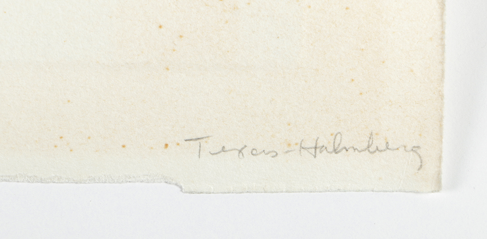 Holmberg Limited Edition Etching on Paper "Albatross with Surface Delight"