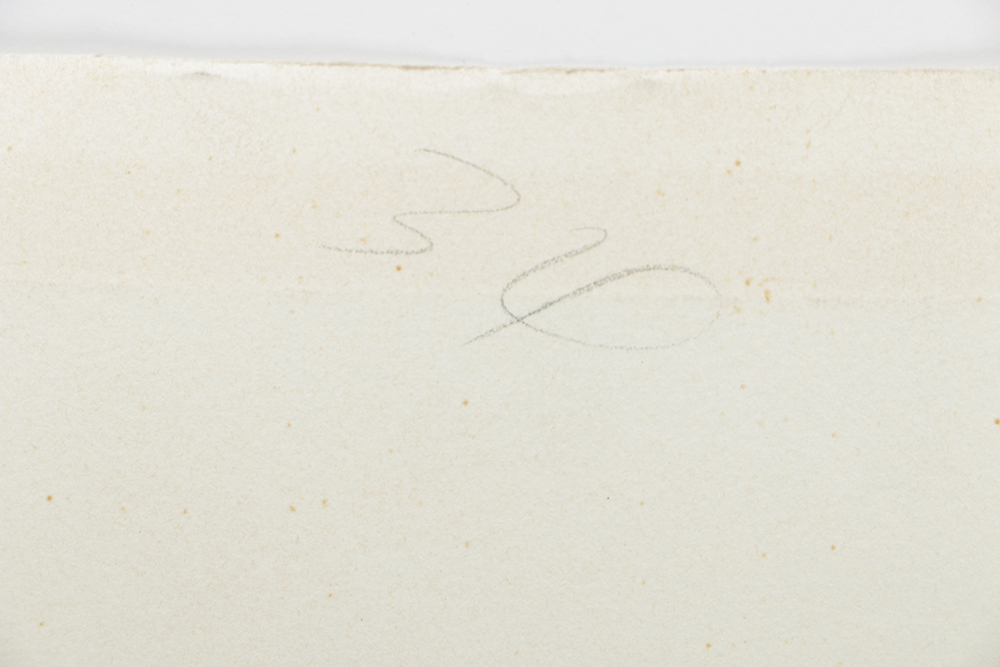 Holmberg Limited Edition Etching on Paper "Albatross with Surface Delight"