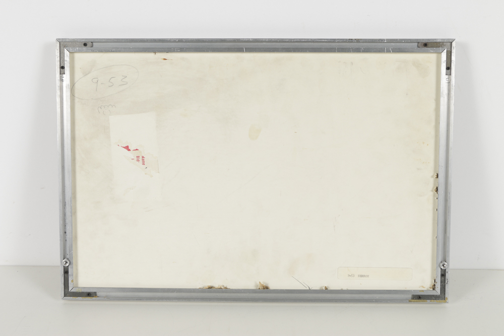 Chromogenic Photograph on Paper of Hang-Glider