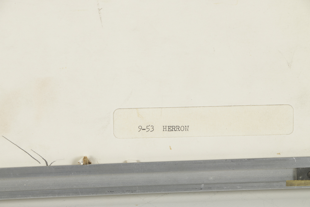 Chromogenic Photograph on Paper of Hang-Glider