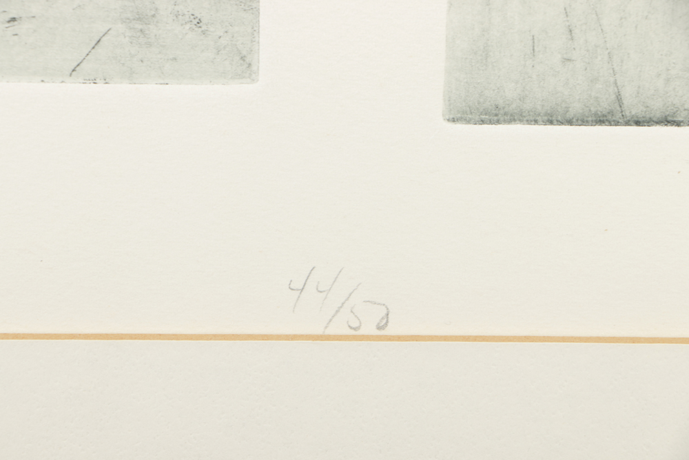 Michael Mazur Limited Edition Etching on Paper "Confirmation"