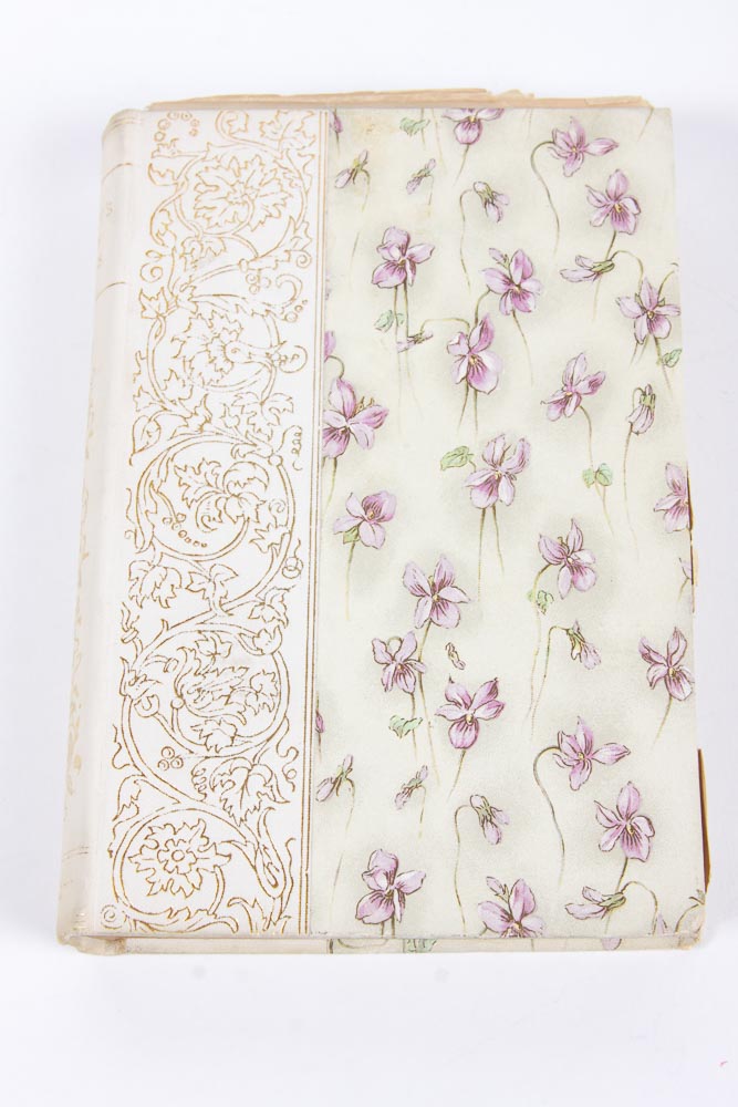 Antique Books from the 1800s