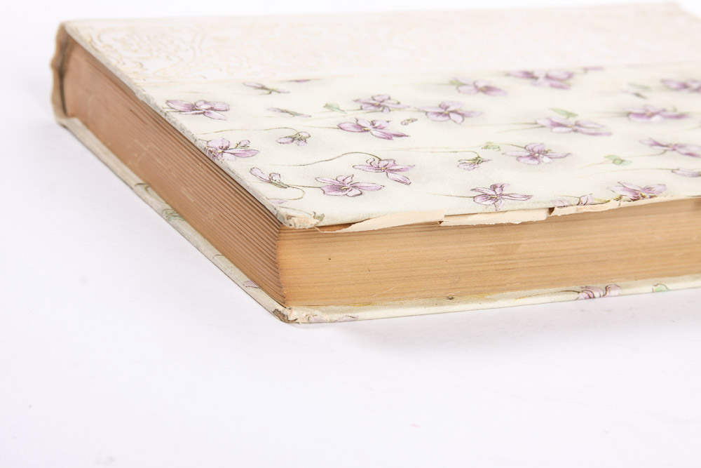 Antique Books from the 1800s