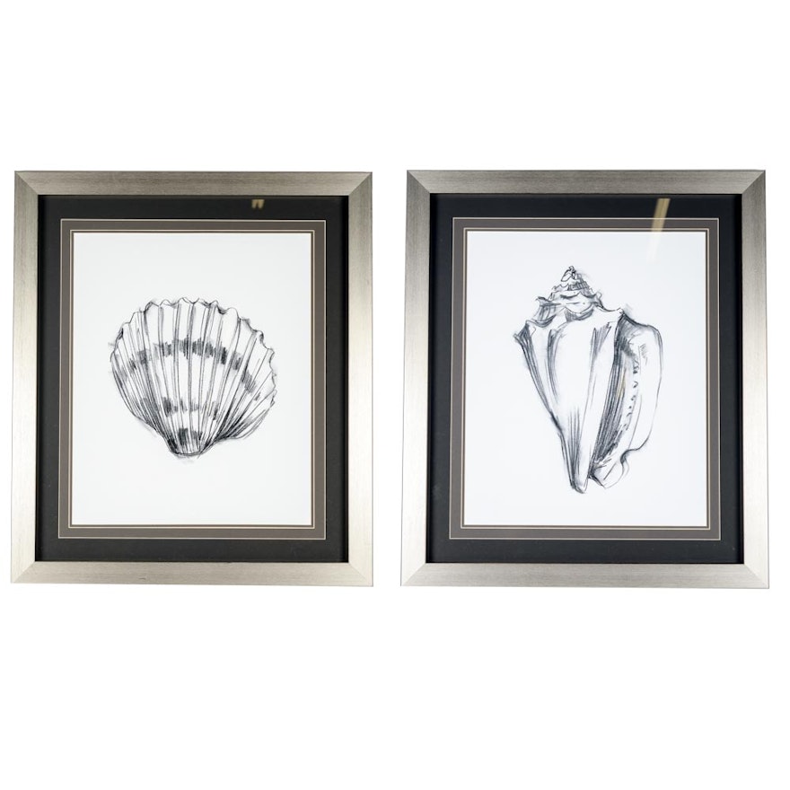 Pair of Framed "Shell Sketch" Prints