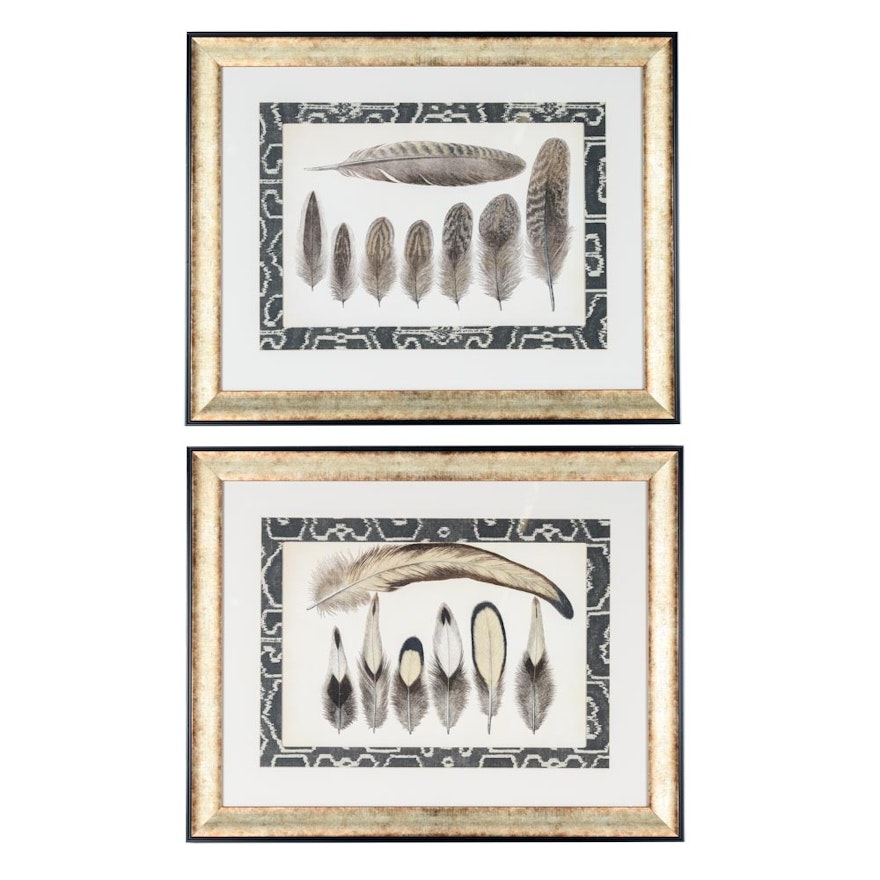 Pair of Framed "Vintage Feathers" Prints