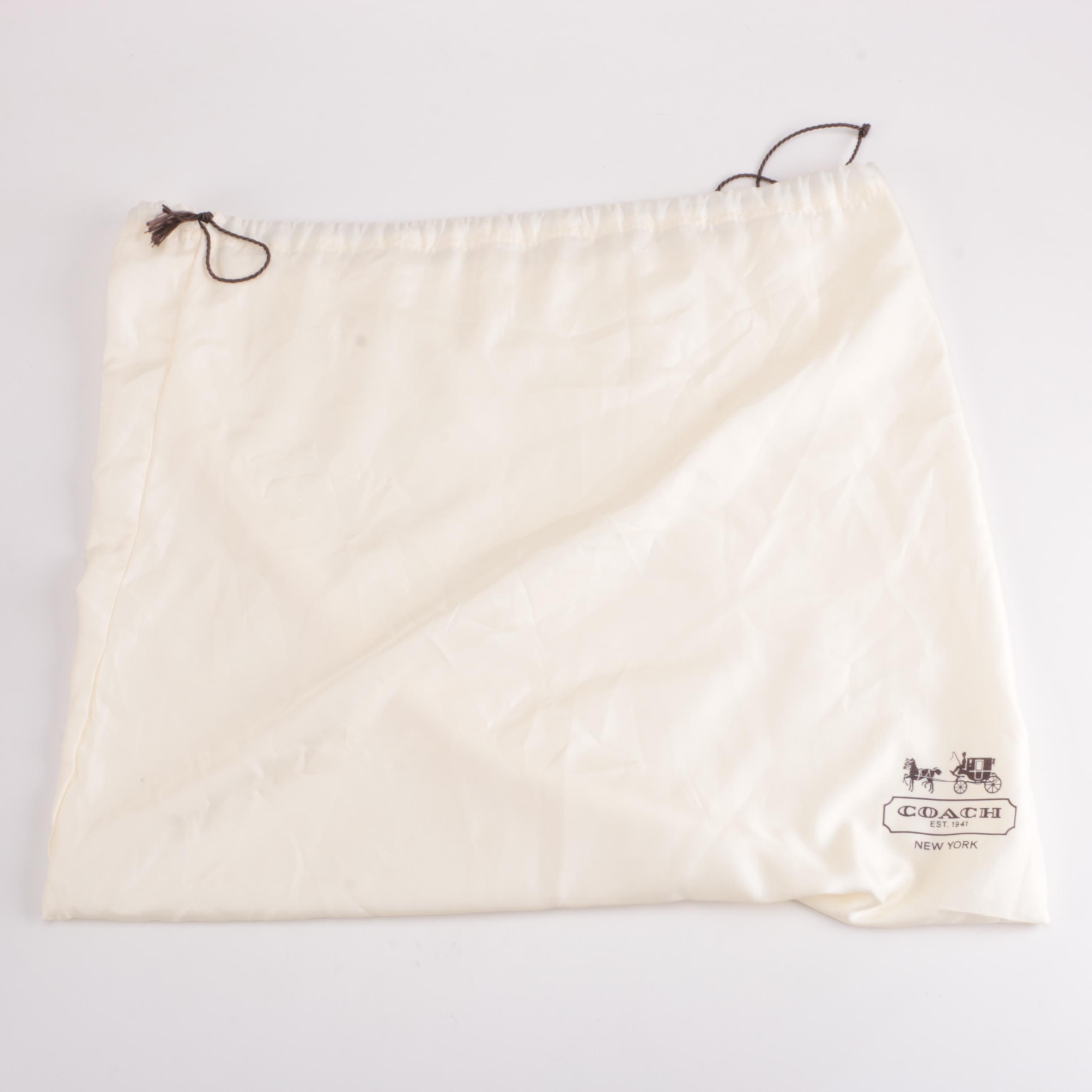 Coach Carly Leather Hobo Bag