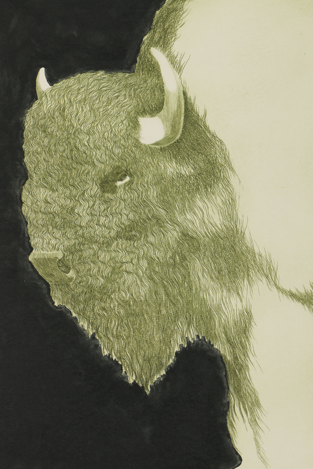 Etching on Paper "American Bison"