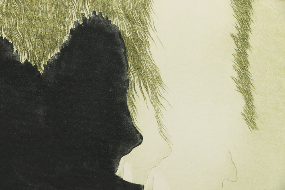 Etching on Paper "American Bison"