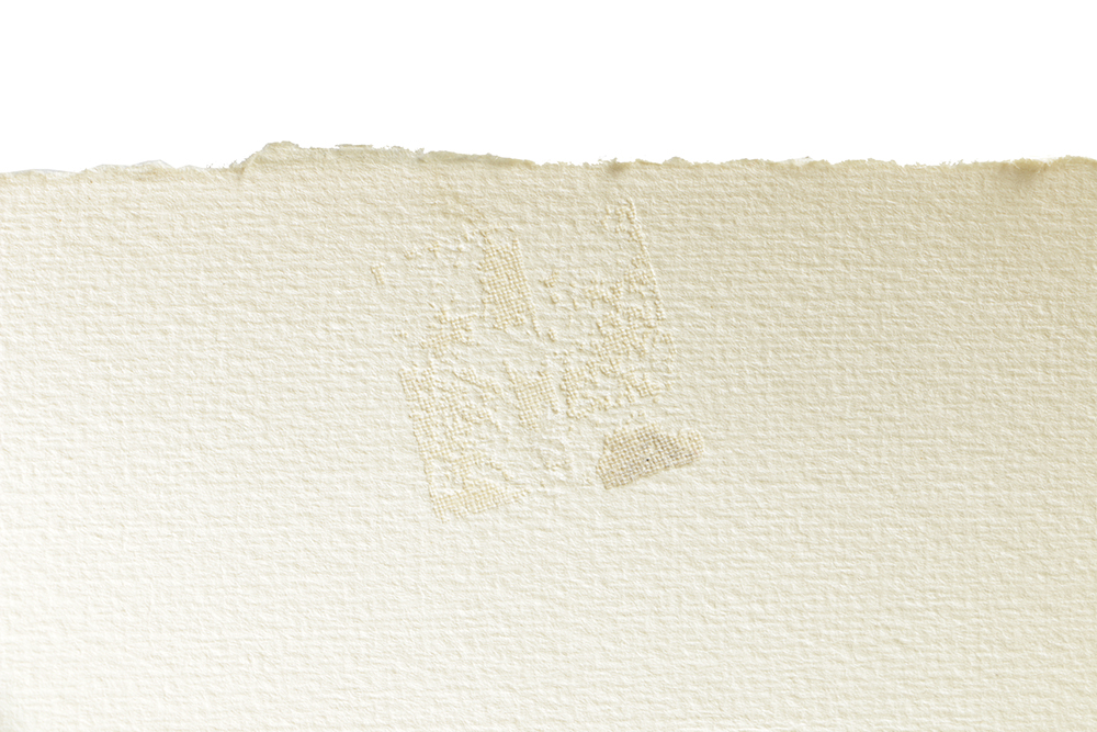 Etching on Paper "American Bison"