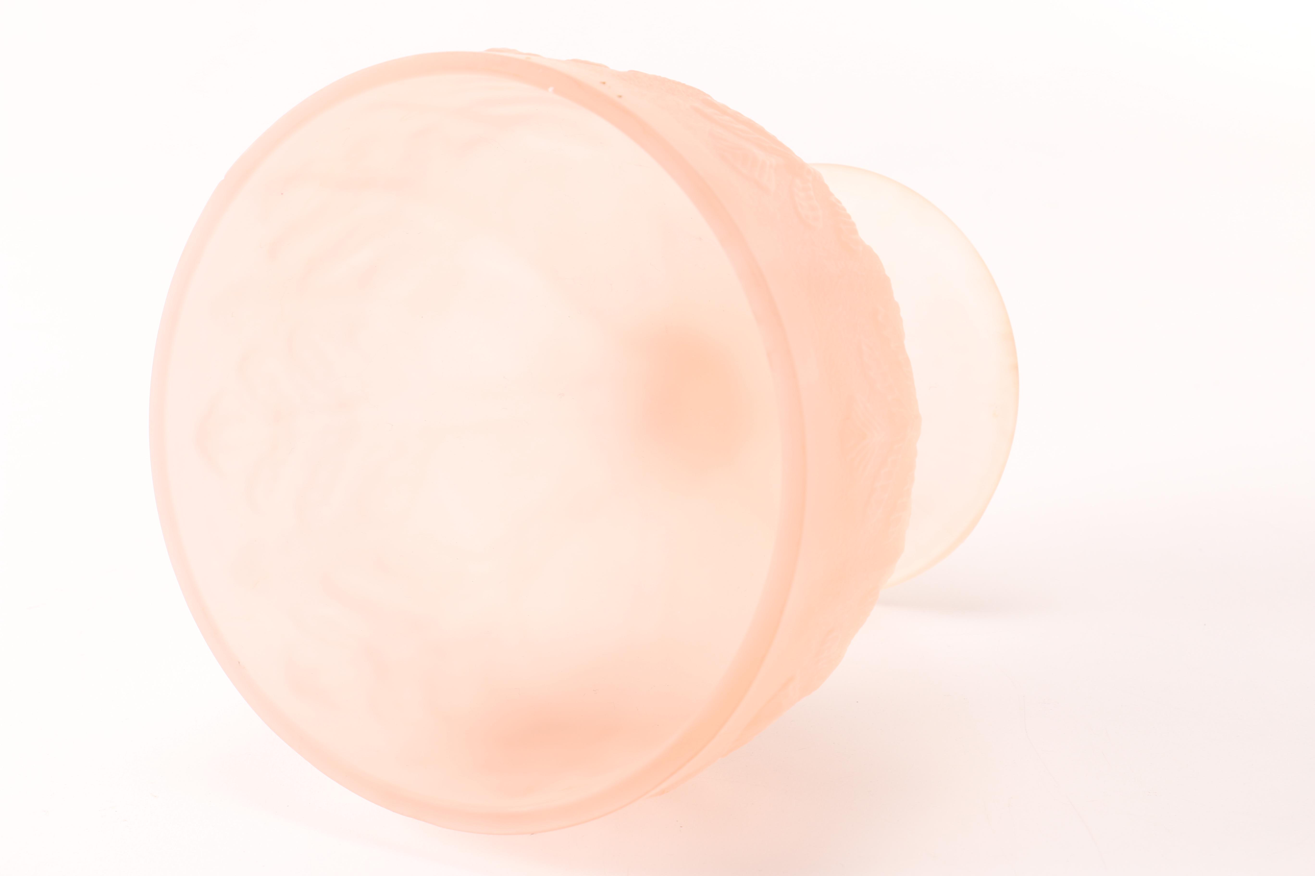 Round Blue Translucent Plate Set