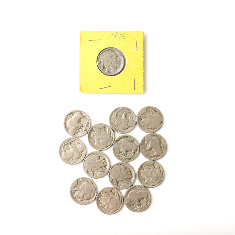 Fourteen Buffalo Nickels