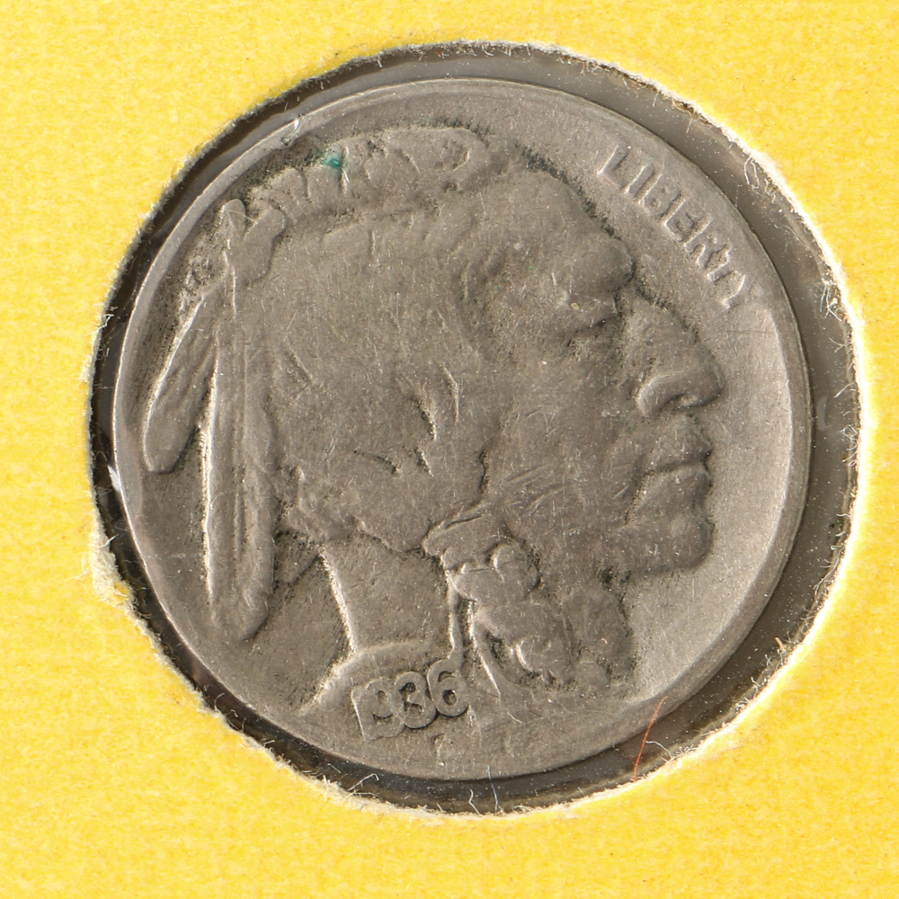 Fourteen Buffalo Nickels