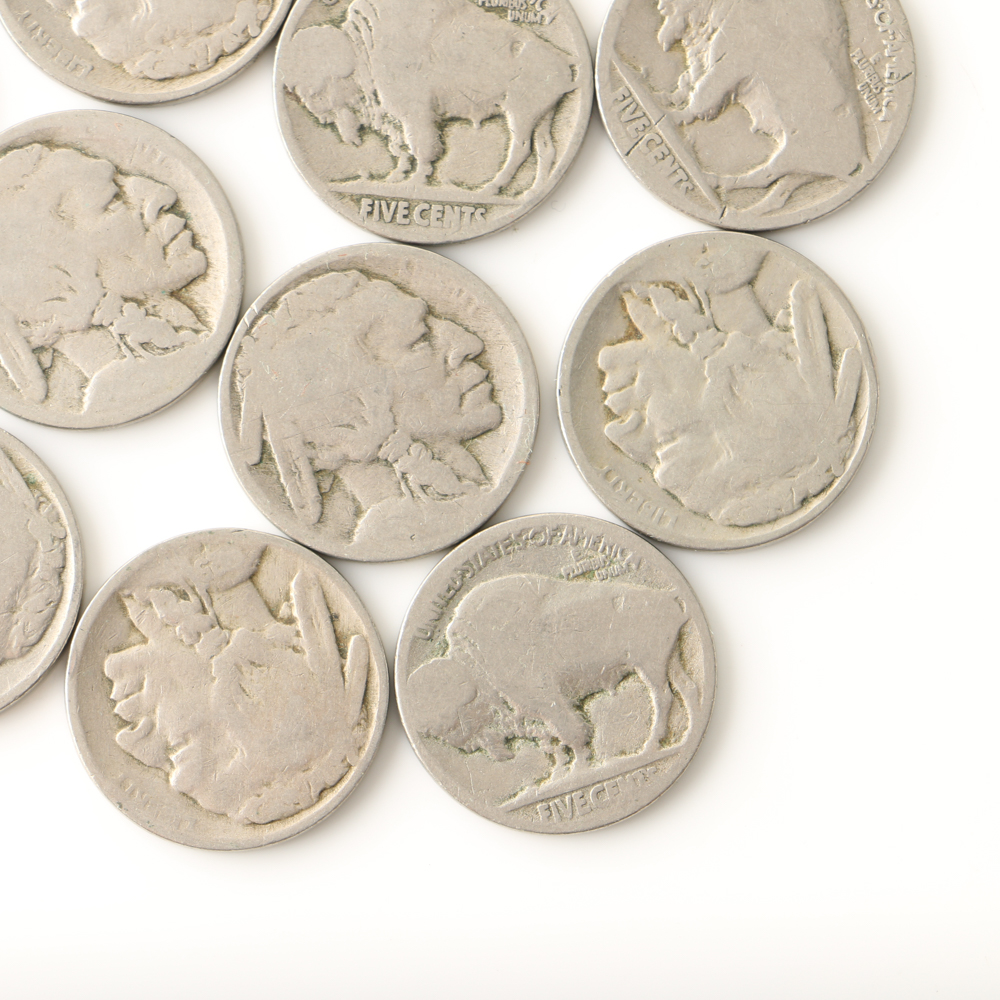Fourteen Buffalo Nickels