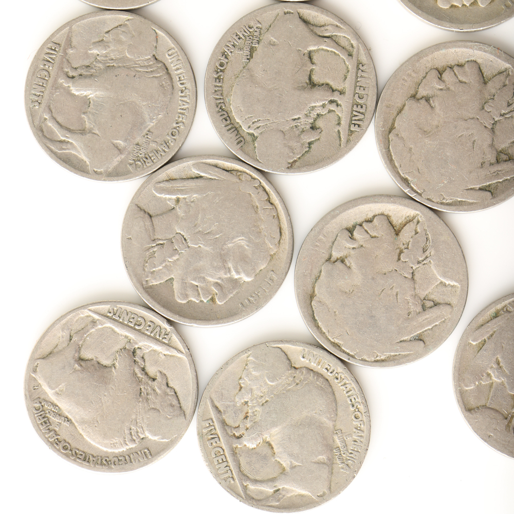 Fourteen Buffalo Nickels