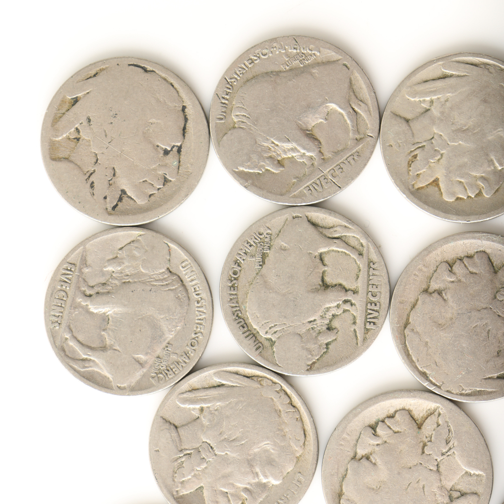 Fourteen Buffalo Nickels