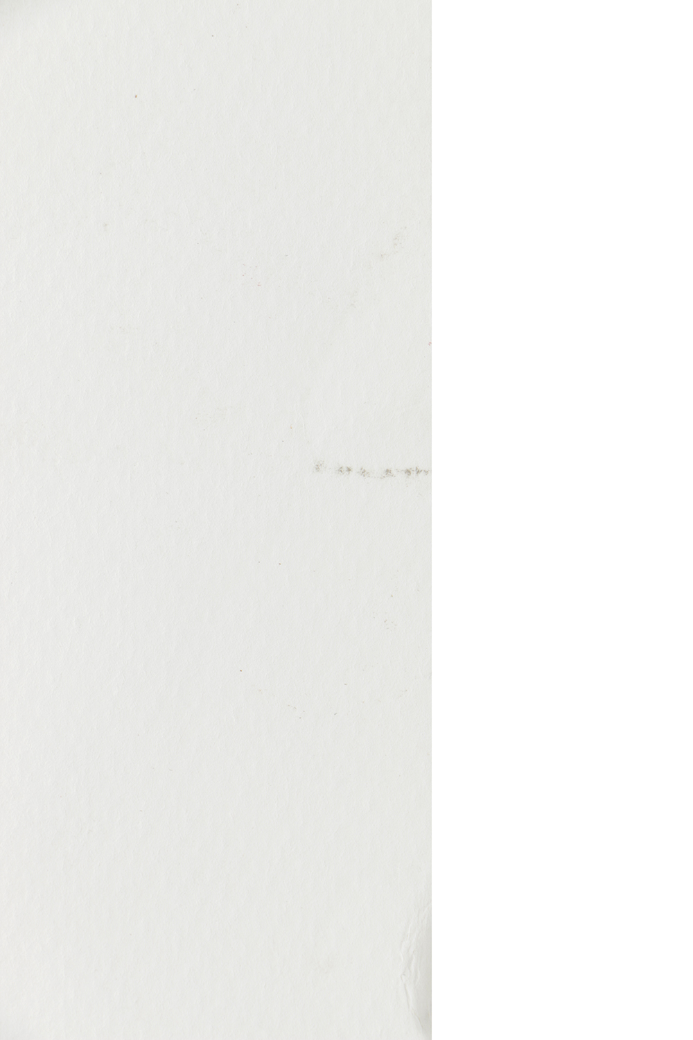 Signed Limited Edition Digital Pigment Print on Paper "Minuteman"