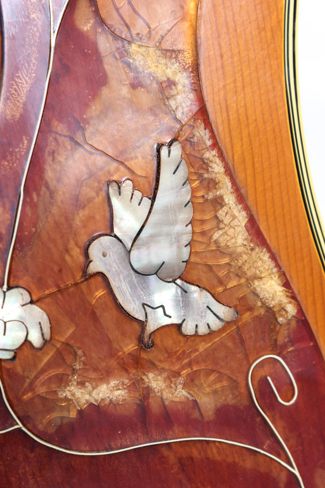 Vintage Ventura V-24 12-String Acoustic Guitar with Case