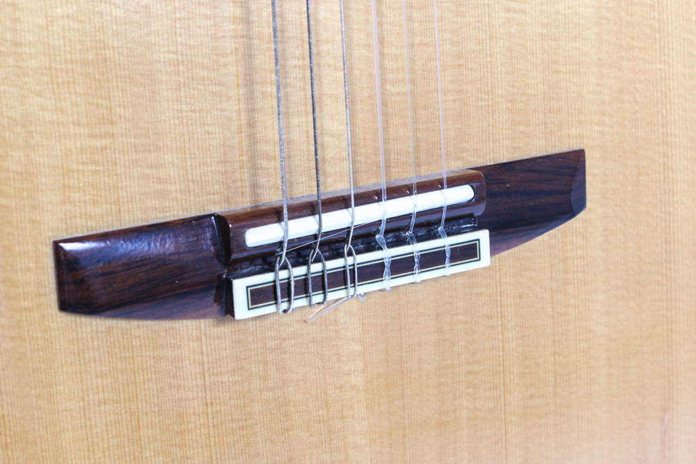 Vintage Ibanez Classical Acoustic/Electric Guitar with Case