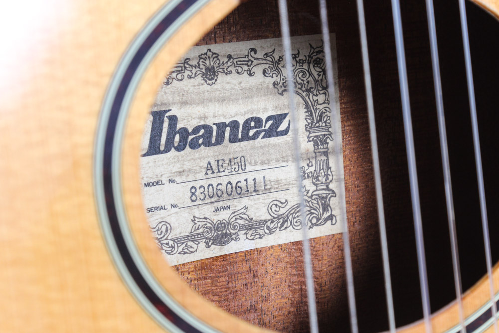 Vintage Ibanez Classical Acoustic/Electric Guitar with Case