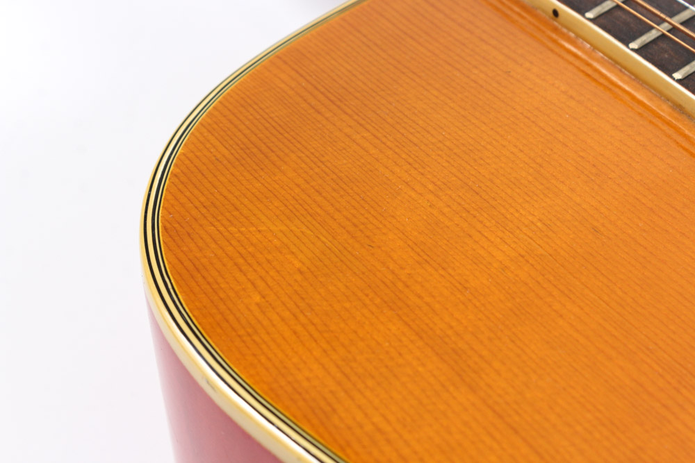 Vintage Ventura V-24 12-String Acoustic Guitar with Case