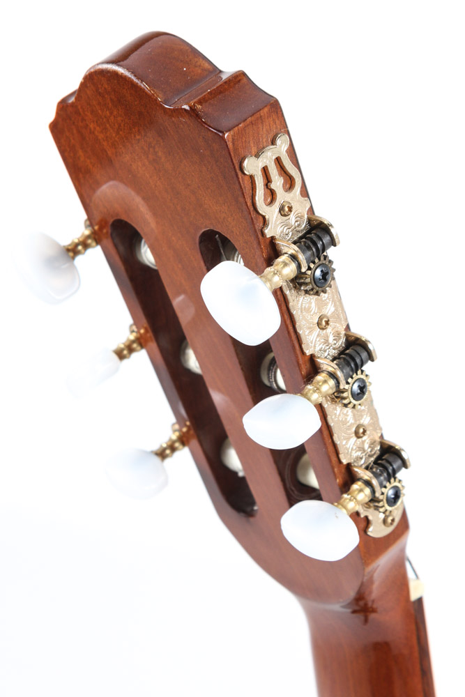 Vintage Ibanez Classical Acoustic/Electric Guitar with Case